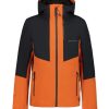 Bekleidung Icepeak | Jacke Dassow